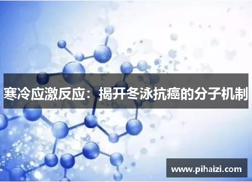 寒冷应激反应：揭开冬泳抗癌的分子机制
