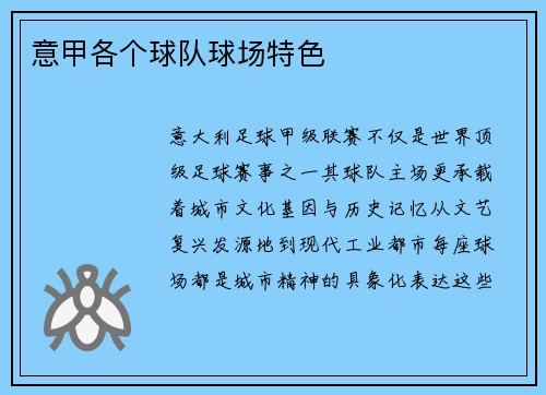意甲各个球队球场特色