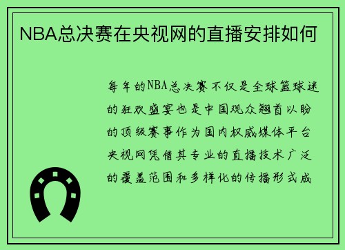 NBA总决赛在央视网的直播安排如何